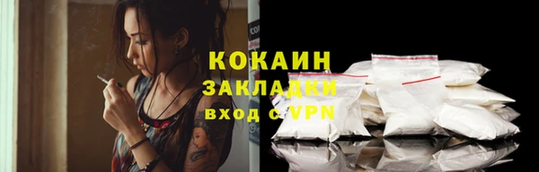PSILOCYBIN Инсар