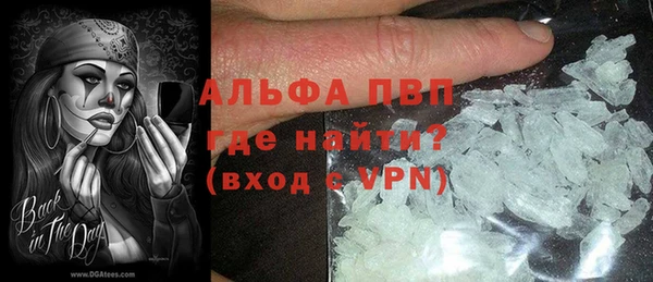 PSILOCYBIN Инсар