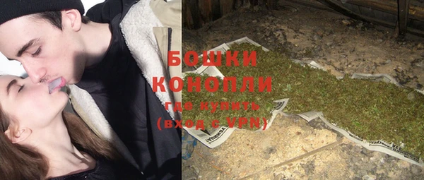 ПСИЛОЦИБИНОВЫЕ ГРИБЫ Иннополис