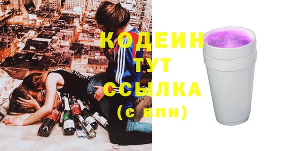 прущий лед Инта