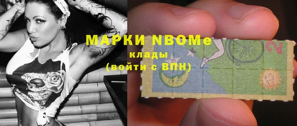 PSILOCYBIN Инсар
