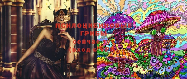прущий лед Инта
