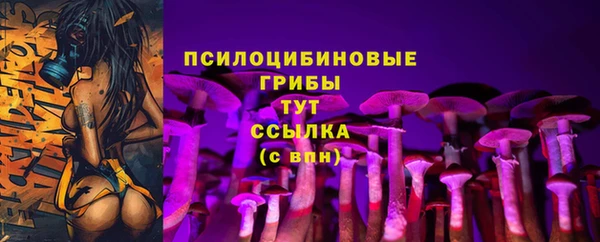 PSILOCYBIN Инсар
